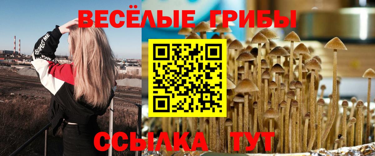Псилоцибиновые грибы Cubensis Зерноград