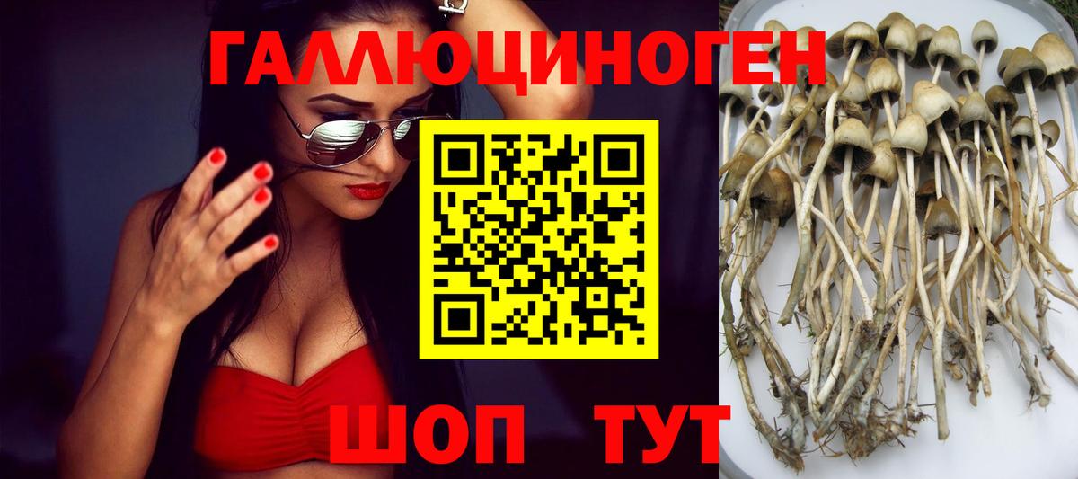 цена   Галлюциногенные грибы мухоморы  Зерноград  Вход с VPN  Галлюциногенные грибы MAGIC MUSHROOMS 